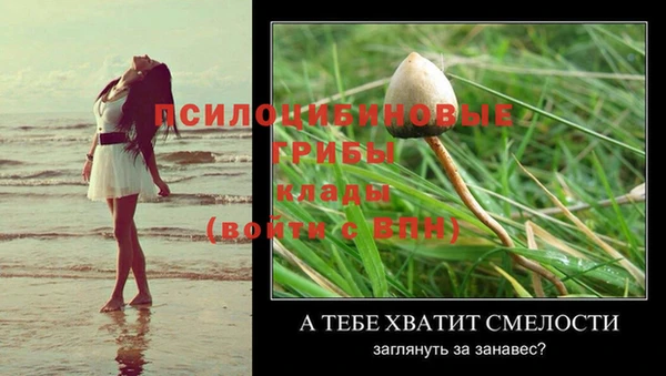 винт Зерноград