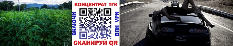ТГК концентрат  Купить где  Весьегонск 