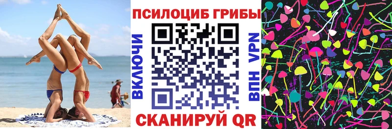 Купить закладки  Весьегонск  Галлюциногенные грибы Psilocybe 